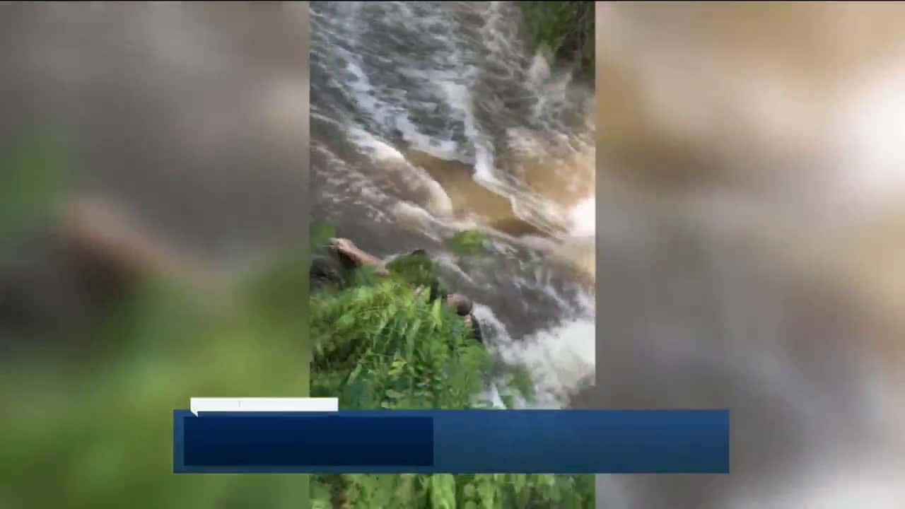Cover for Witnesses record dramatic water rescue at Menomonee Falls Park