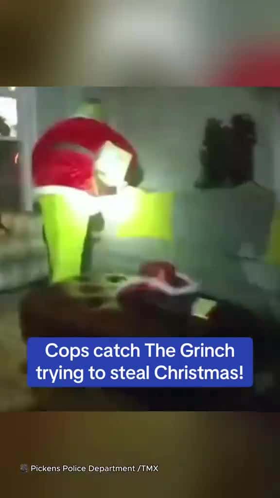 Cover for Pickens Police received a call about a robbery... involving someone furry and green!