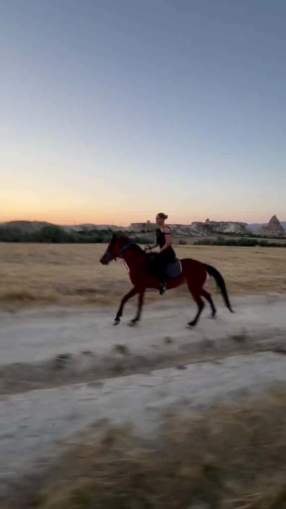 Cover for forever wild   horse horseriding summer 84481 #shortvideos