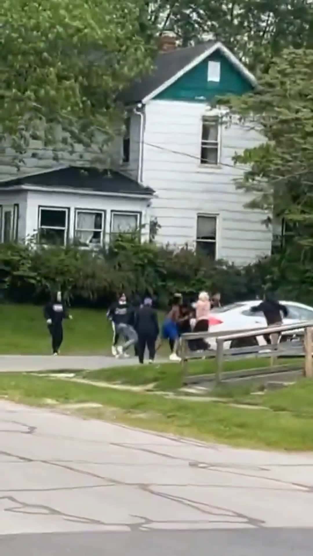 Cover for He puttin BTA to that dog 😭😂🤣🤣🤣🤣