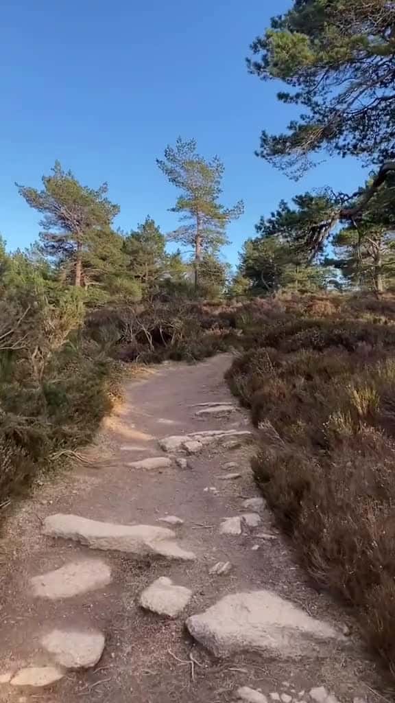 Cover for Any day is a good day to climb Bennachie hill hillwalk VisitABDN Aberdeenshire Vi 78209 #trendingscoopz