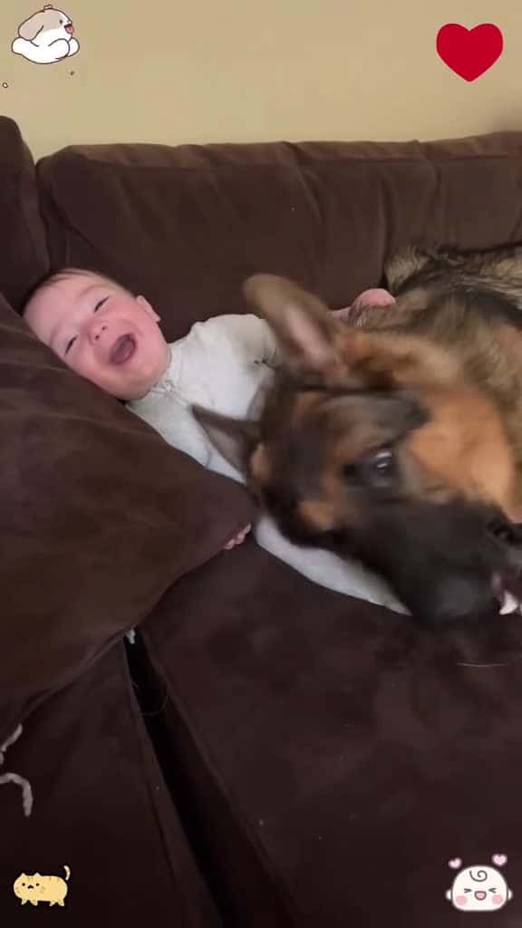 Cover for The love of puppies and babies 🥰🥰#dog #baby #lovestory #cute #puppy #pet #usa
