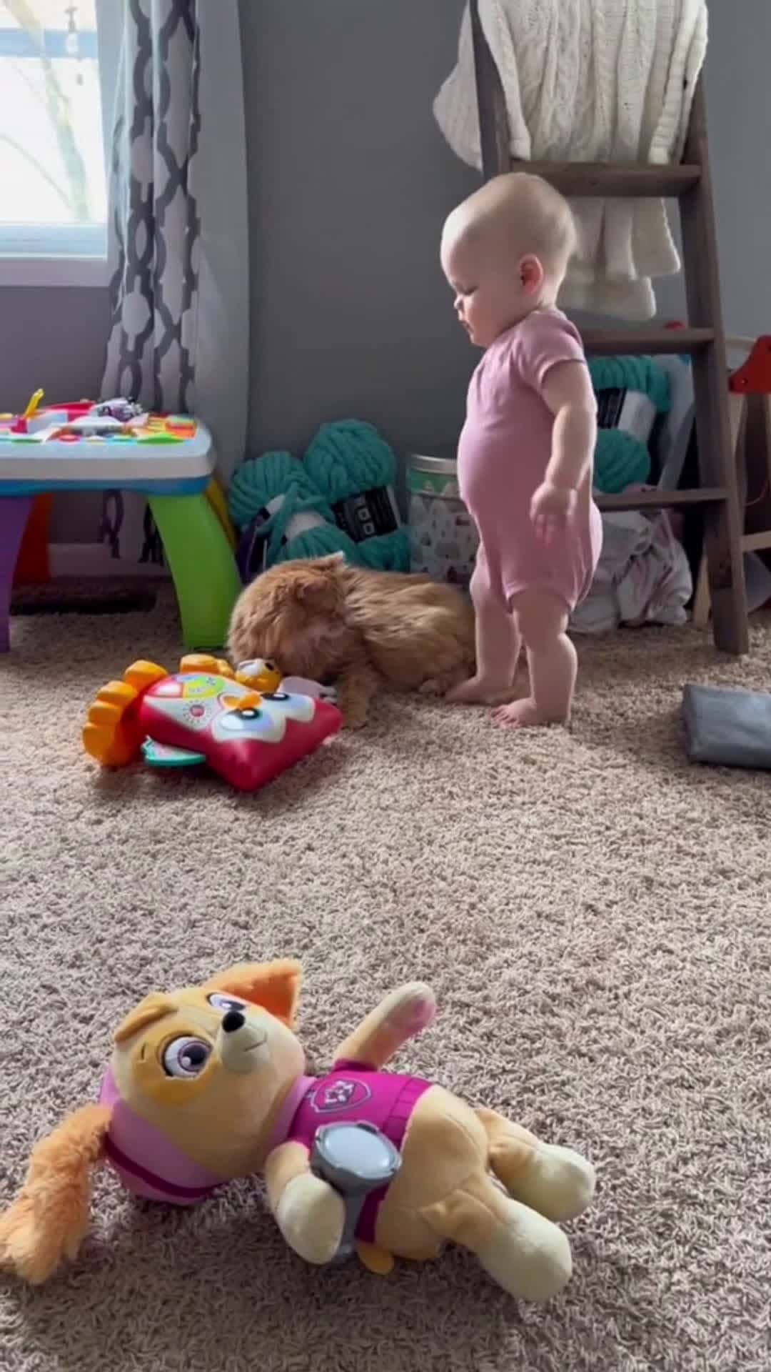 Cover for SnapTik￼Flooofy snuggles #babiesoftiktok  #toddlersoftiktok  #cats  #catlover  #baby #babylove 