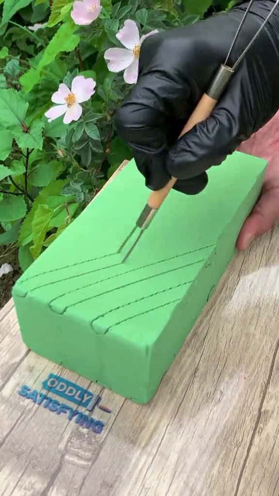 Cover for viralvideo grow trending forupage 71499 #shortvideos