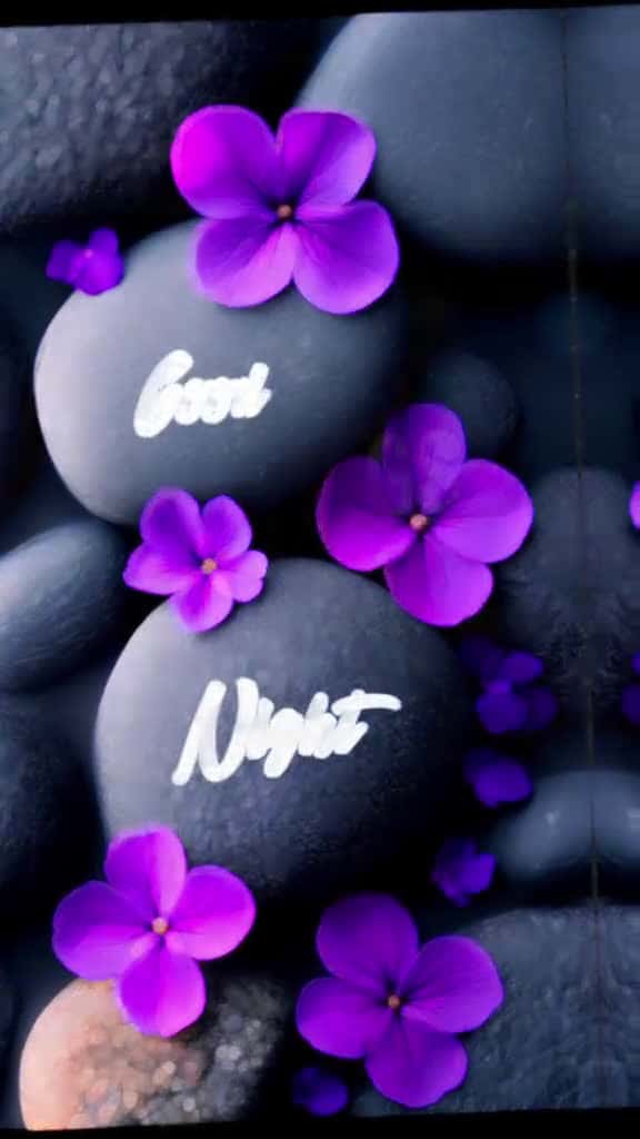 Cover for fyp fyp viral fyp vibes goodnight viraltiktok viral video tiktok tiktokviral top trending 87231 #followMe