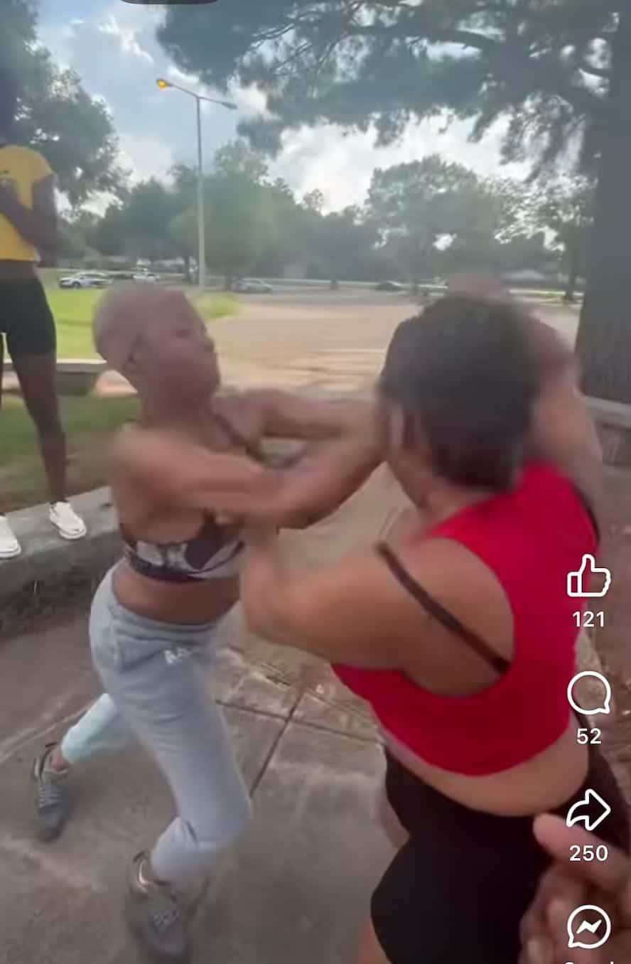 Cover for Issa Royal Rumble 🤼‍♀️ #Fight #Fightcam #Follow