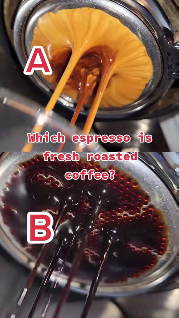 Cover for Does fresh coffee really make a better espresso? Watch us compare 2-day-old beans vs. store-bought! ☕️ #espresso #coffee #freshbeans