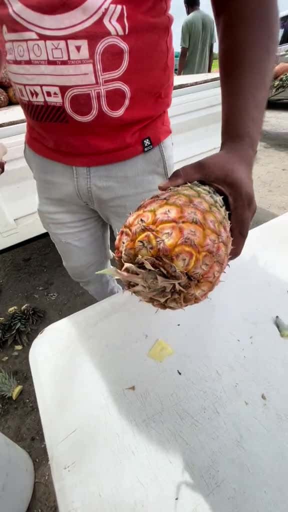 Cover for Pineapple Ronaldo Street Food in Trinidad and Tobago pineapple pineapplelover pin 79403 #trend
