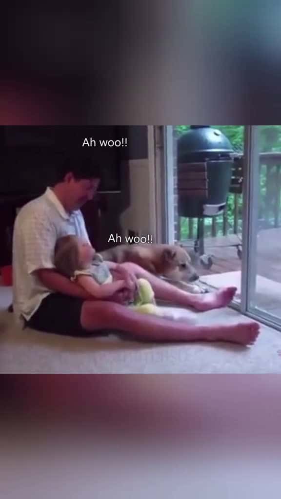 Cover for The sweet friendship dog baby pet Love lovestory cute dogsoftiktok foryou usa 49770 #ilovescoopz