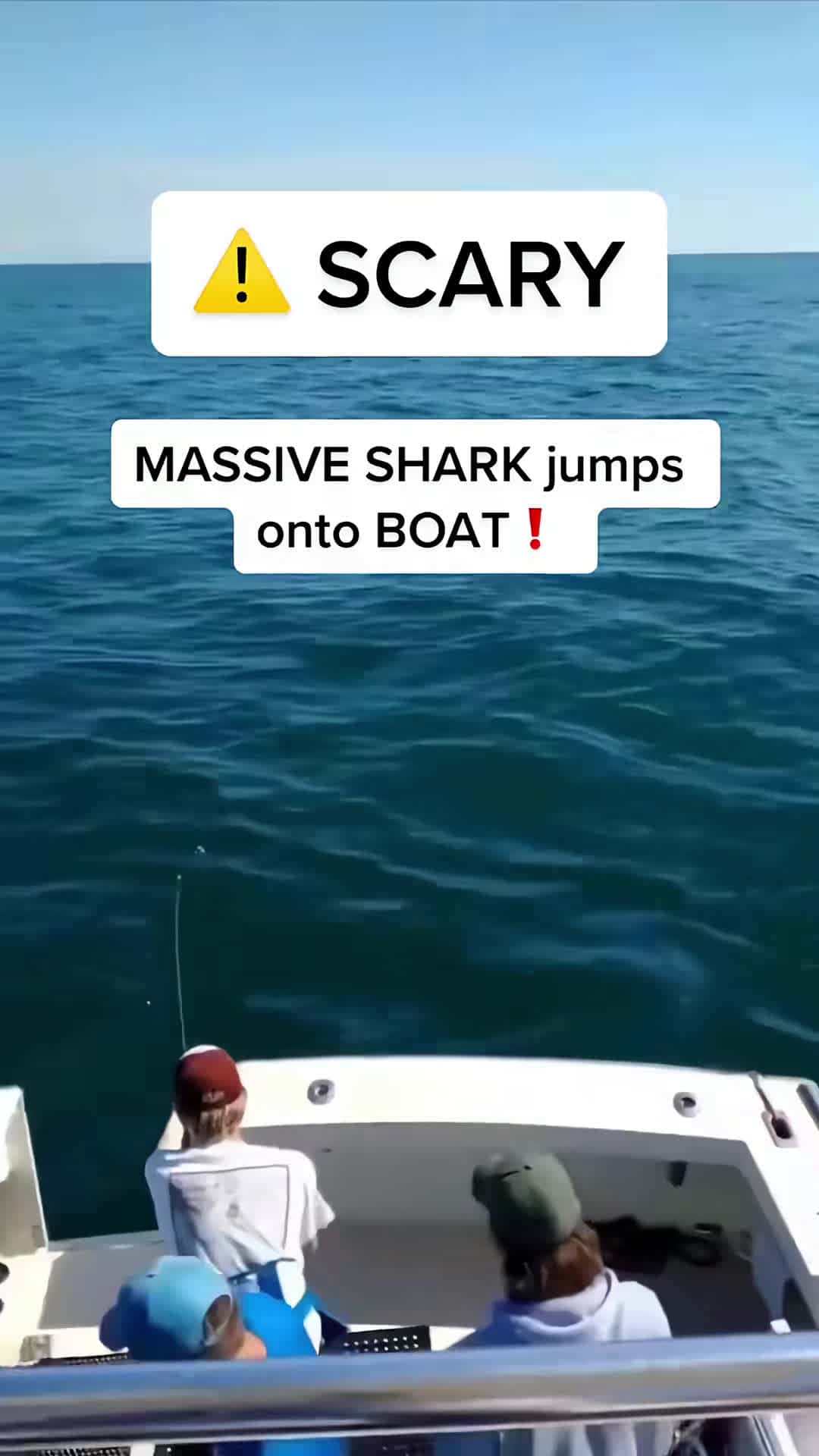 Cover for That boy was hungry fish fishtok fishing bass bassfishing sharks shark 4thofjuly fireworks