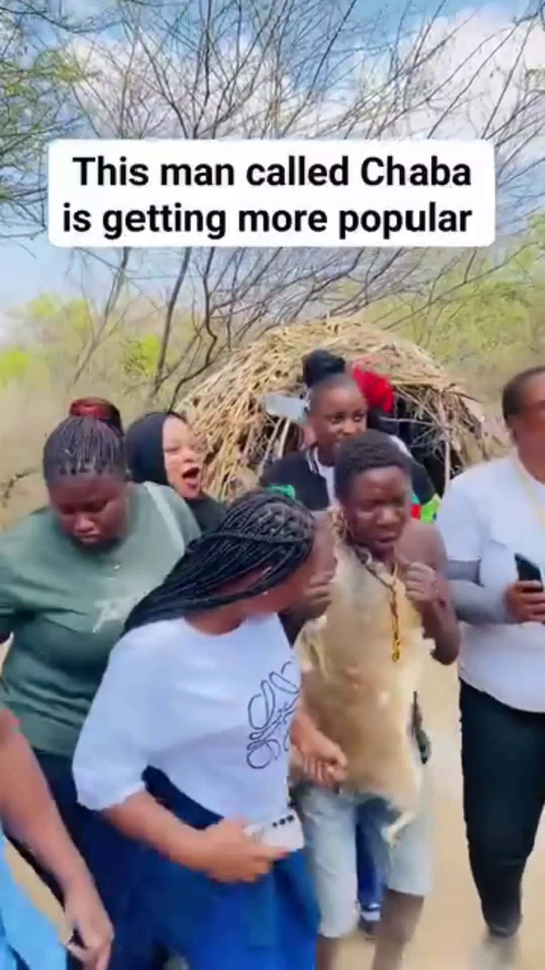 Cover for The bush man dancing