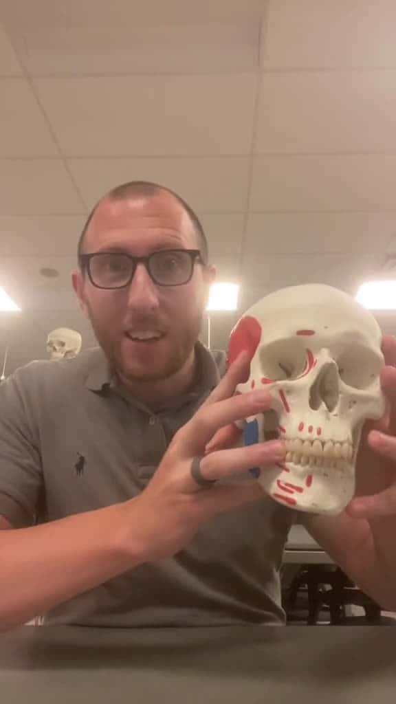Cover for 60 Second Anatomy Quiz 3 - The Skull #anatomy #quiztime