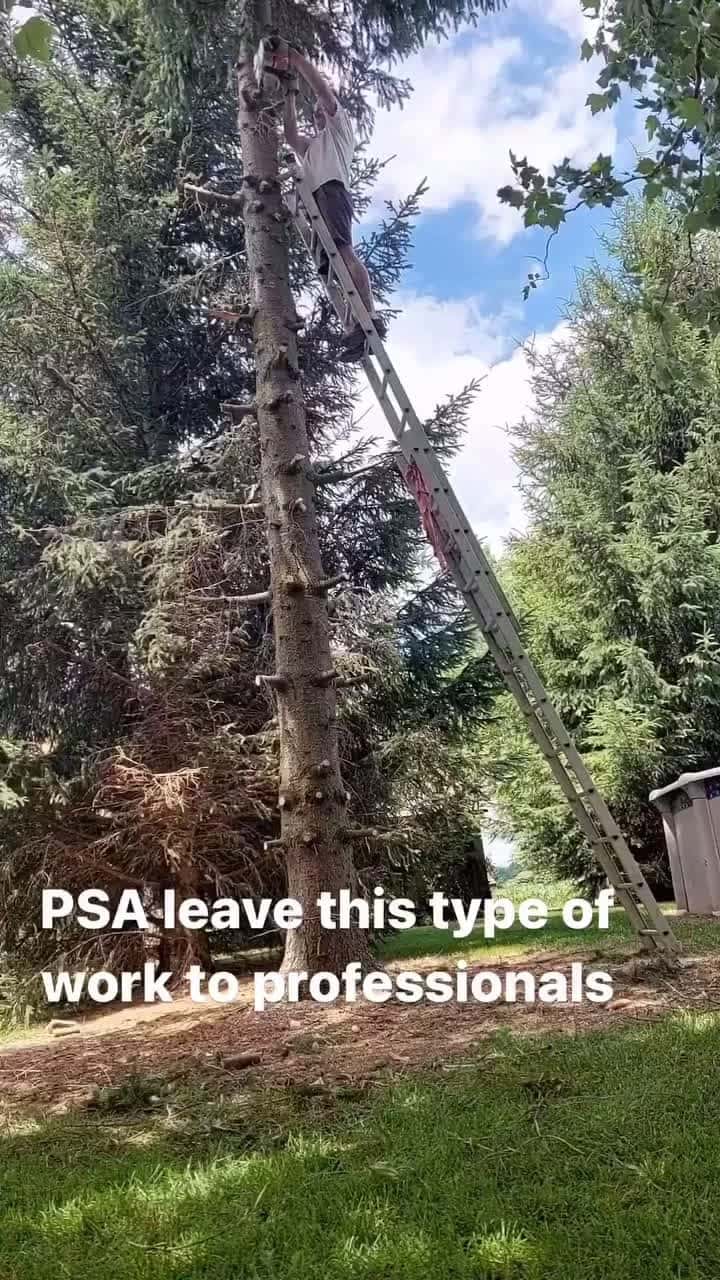 Cover for PSA leave this type of work to professionals. Topping trees should never be done on a ladder. 