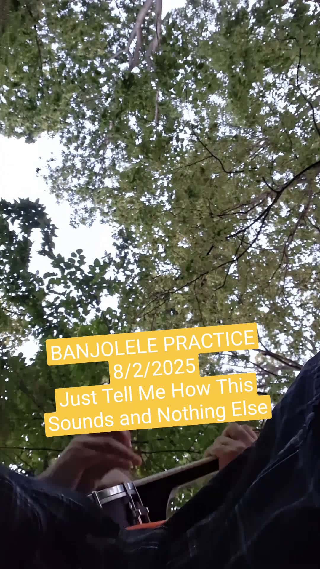 Cover for First video #howdoisound  #banjolele #music 