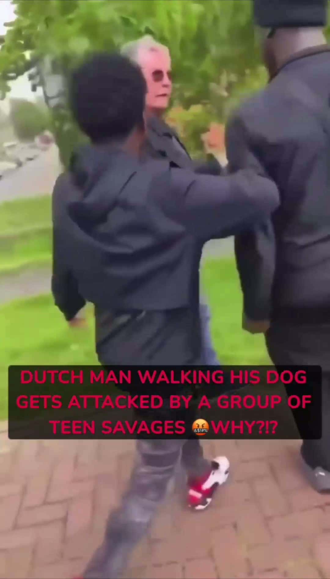 Cover for They need the 2nd Amendment in the Netherlands 😡 Follow for more ↗️ #fyp #trending #fight