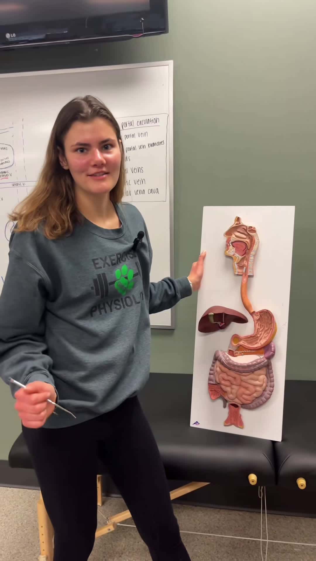 Cover for The digestive pathway in less than 60 seconds! #anatomy #fyp