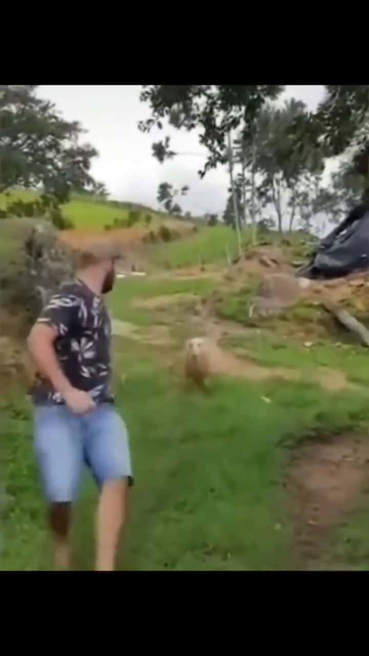 Cover for 🤣🤣🤣🤣😂😅   #funny #funnyvideos #fyp #trending #scoopz