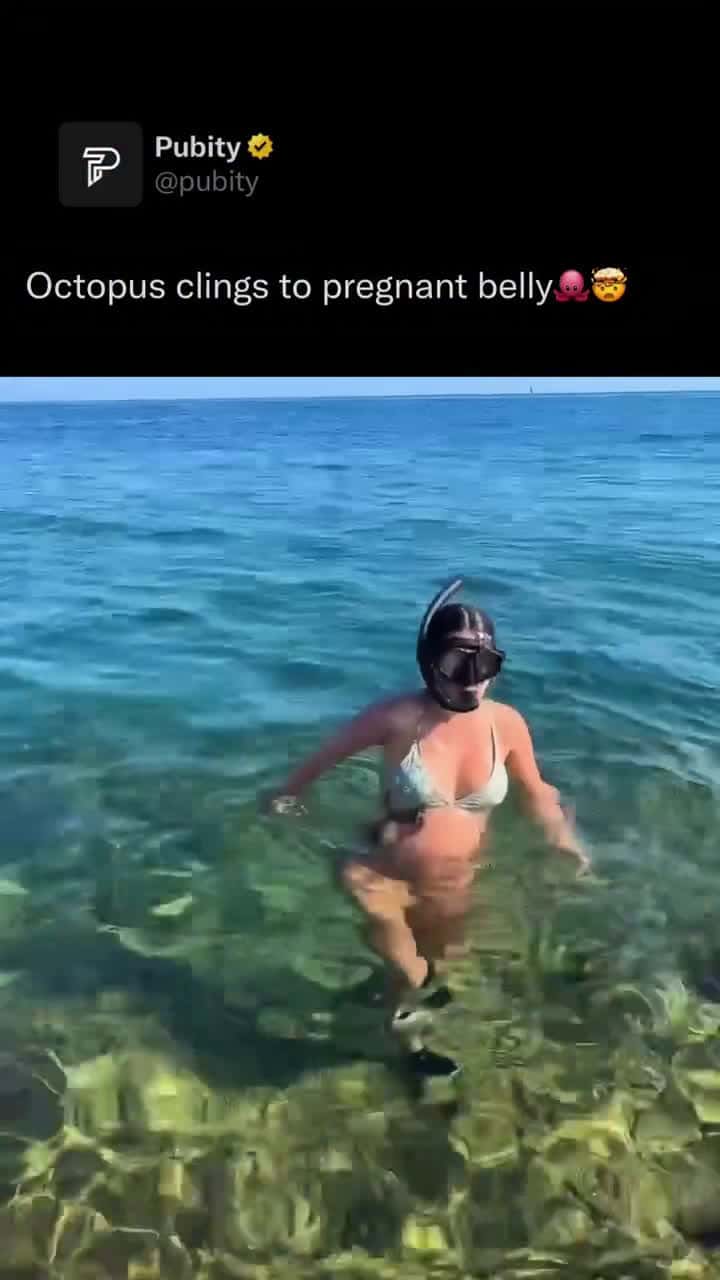 Cover for #FavMovieClip Theres no scientific evidence that octopuses can sense human pregnancy, but they do have extraordinary sensory abilities that could make them react differently to a pregnant person. Octopuses can detect subtle ch