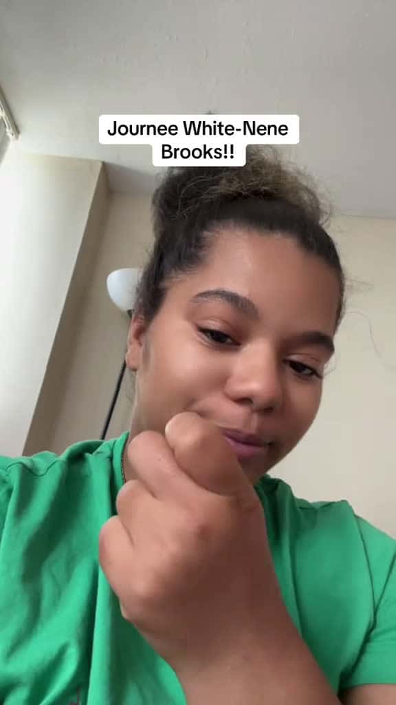 Cover for Its a rabbit hole 😮‍💨😮‍💨 #nenebrooks #journeewhite #fypシ゚viral #creatorsearchinsights #dramatiktok #rabbithole