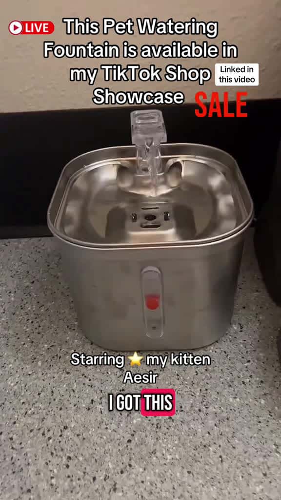 Cover for Pet Drinking Fountain #pet #sale #petdrinkingfountain #ttsaffiliate #tiktoklive #livehighlights  created by Valfreya🌸 The Owl with Valfreya🌸 The Owl’s original sound