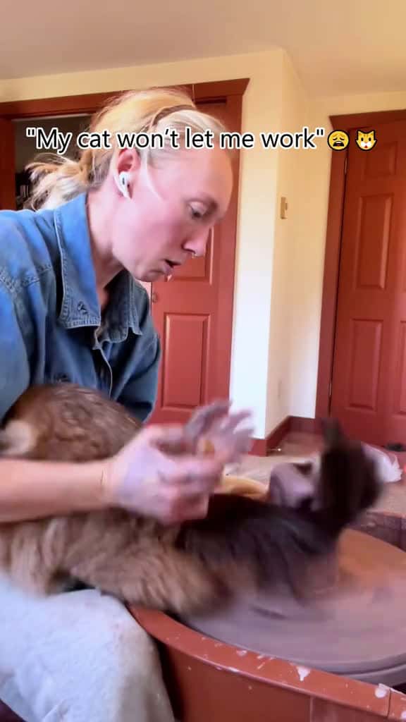 Cover for Cats interfere with theirowners work cat cats catlover kitten catsoftiktok fyp 58222 #trending