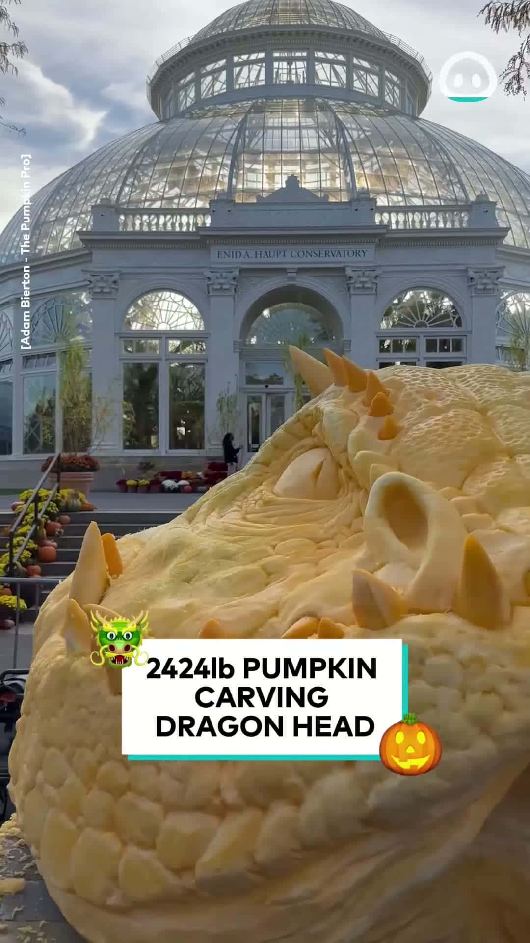 Cover for Mega Pumpkin Carving