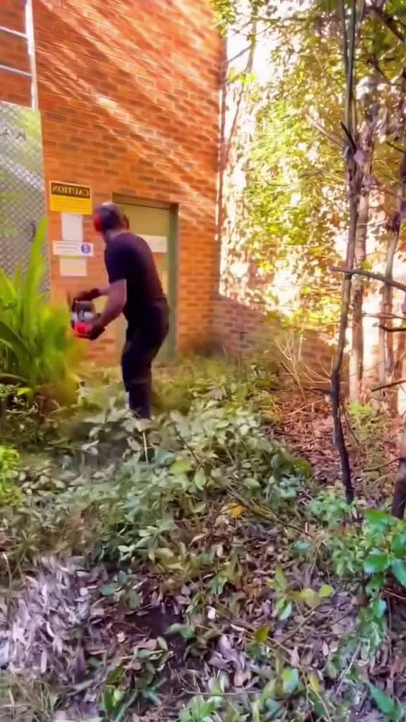 Cover for Ultimate Cleaning Lawn Care ASMR So Satisfying You ll Want to Clean uncloggingdrains cutti 37963 #american
