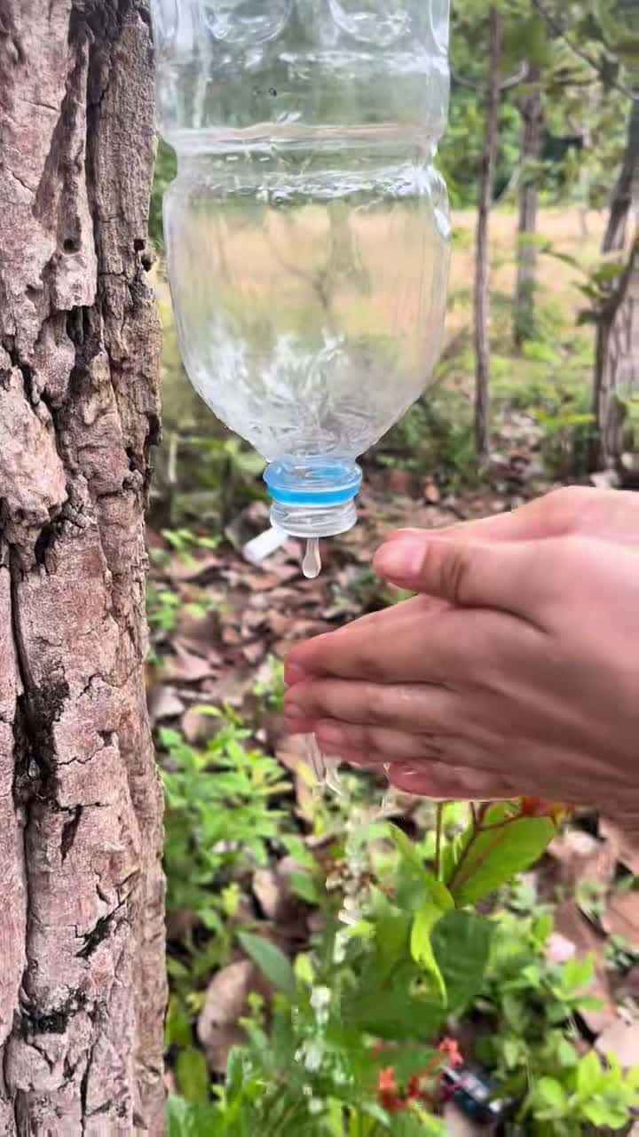 Cover for Survival skills: SMART idea and USEFUL save Water & Soaps #camping #bushcraft #outdoors #survival