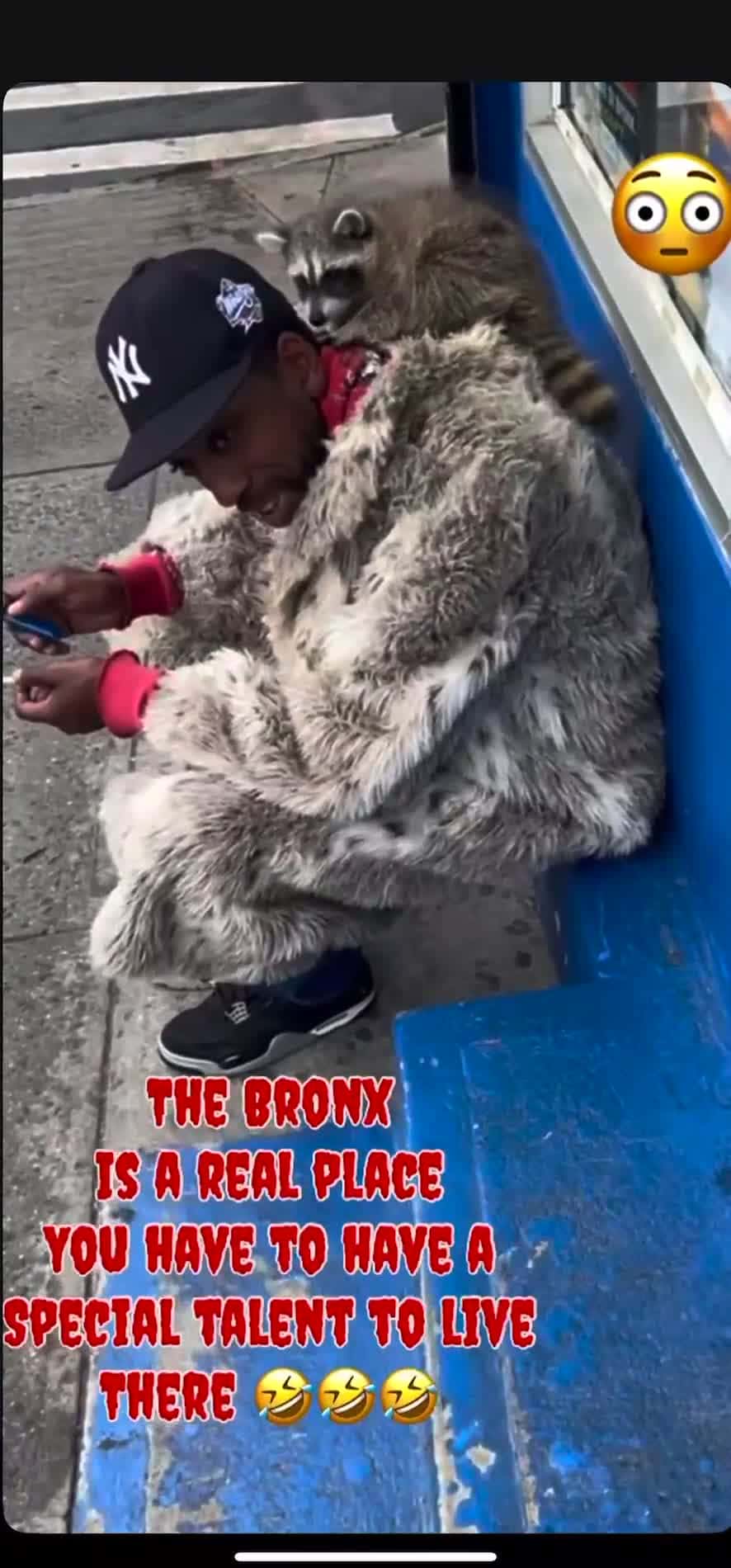 Cover for Only in da Bronx 🤣