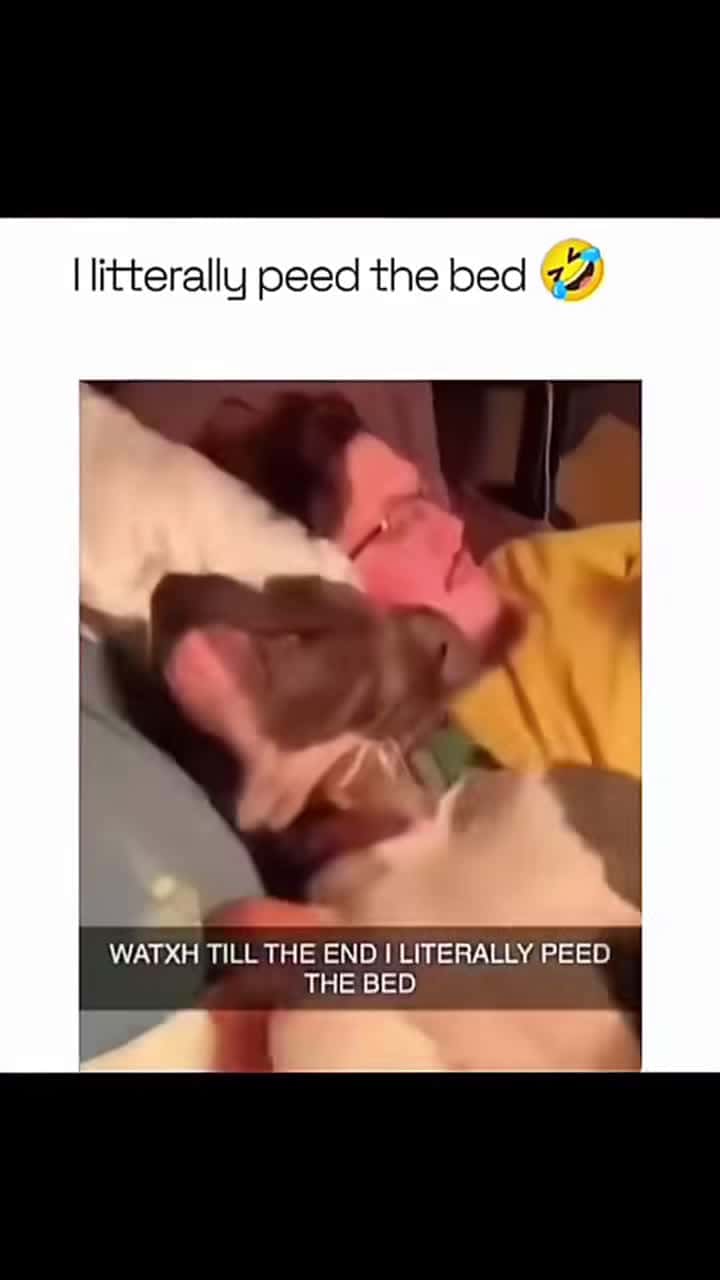 Cover for Funny and cute dogs compilation #funnydog #funnypet #cutedog #dogsoftiktok #doglover #dog 19