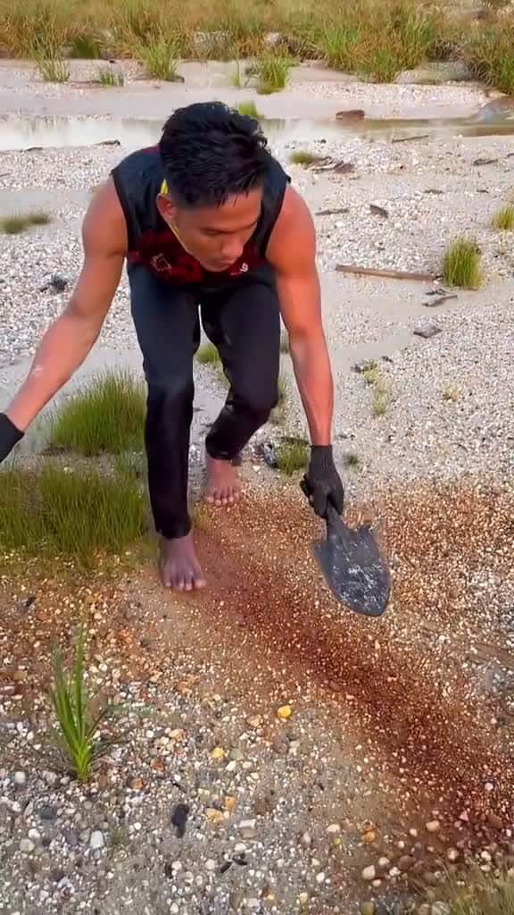 Cover for Looking for gold and panning for gold buried in river walls viralvideo golddiscovery minin 26411 #nicevideo