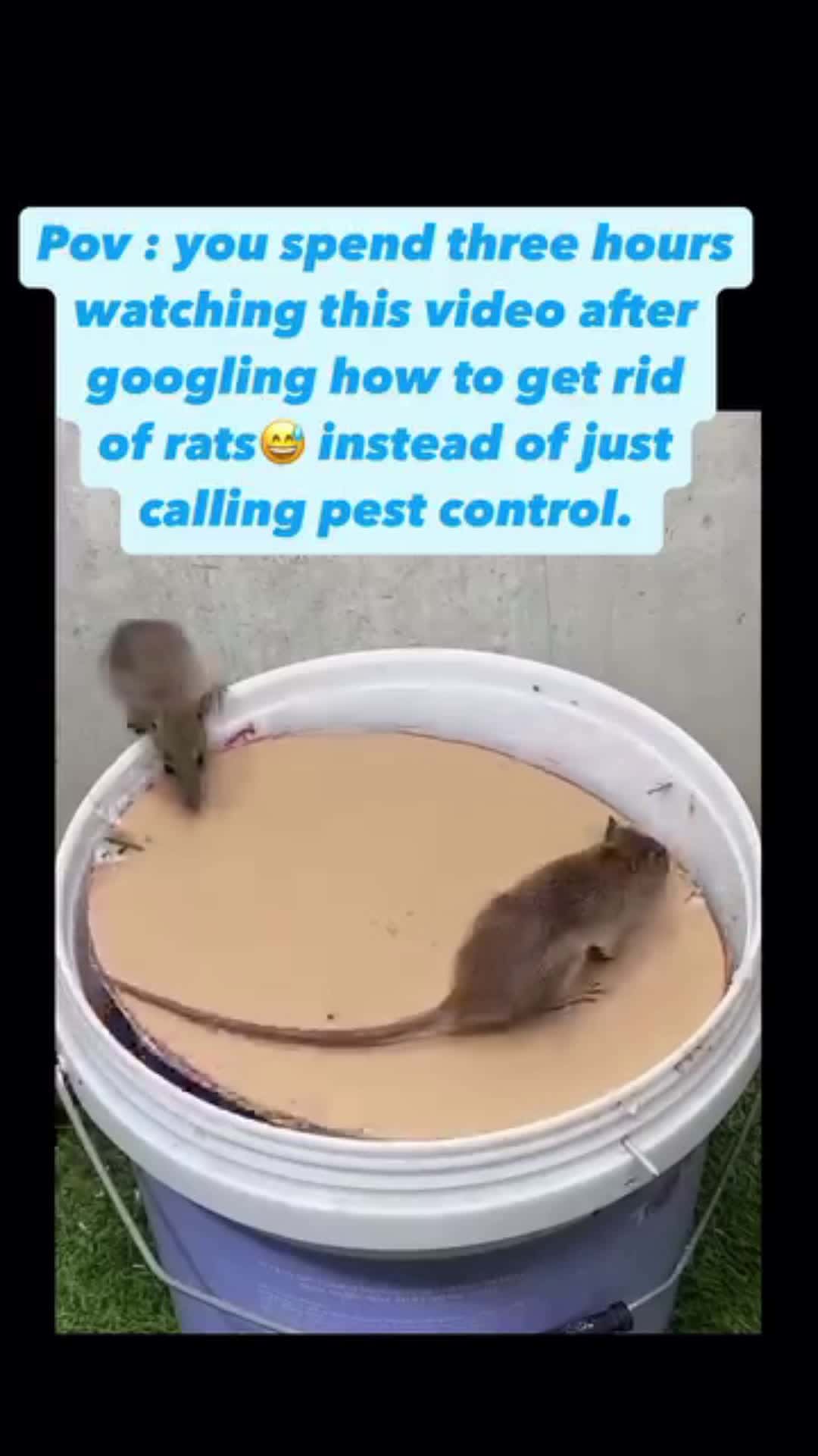 Cover for instead of calling pest control