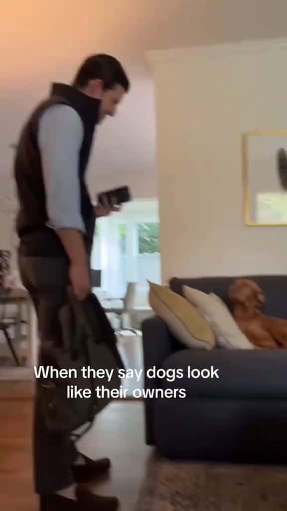 Cover for No need for DNA testing #dogsoftiktok #dogtok #dog #dogs #funnyvideos #funny #pet #doglife #dogfunny  created by hilariousdogs11 with hilariousdogs11’s original sound