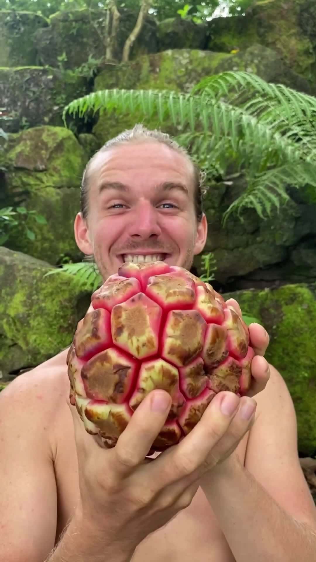 Cover for This Fruit Opens Like An Easter Egg