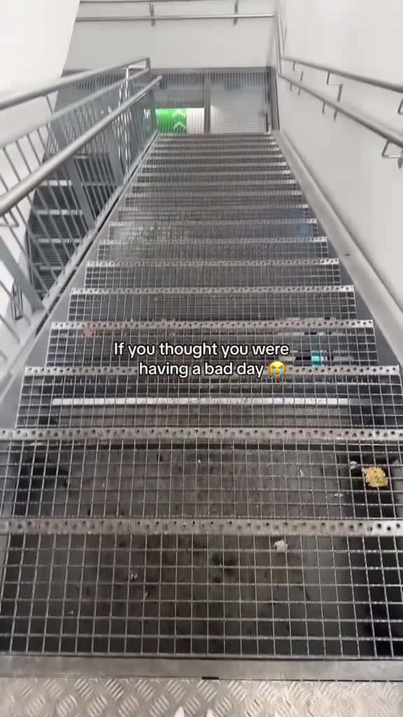 Cover for The steps 😭 @Barstool New York (Via:@Amalie Snøløs)  created by Barstool Sports with Amalie Snøløs’s original sound
