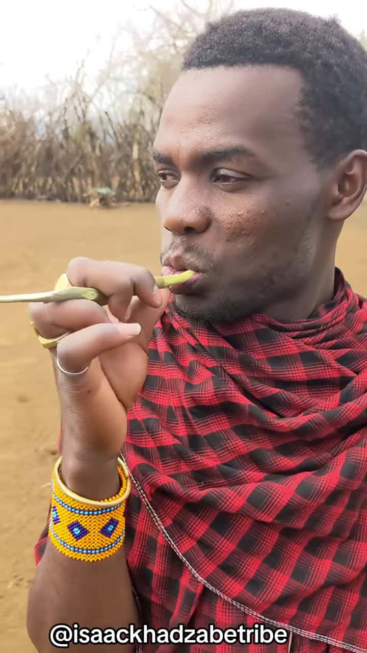 Cover for #fyp #tiktok #trending #tanzania #travelafrica #travel #hadzabe #datoga #hunting #zanzibar #bushmen #ngorongori #serengeti #tanzaniasafari #tanzanianationalparks #visitdubai #trendig #trendingvideos #tiktoktanzania #dancechallenge #beachvibes #africantribes #travelbucketlist #dance #dancewithpubgm #primitive #primitiveskills #primitivesurvival #primitivesurvival #primitivetechnology @Isaack Kanyankole