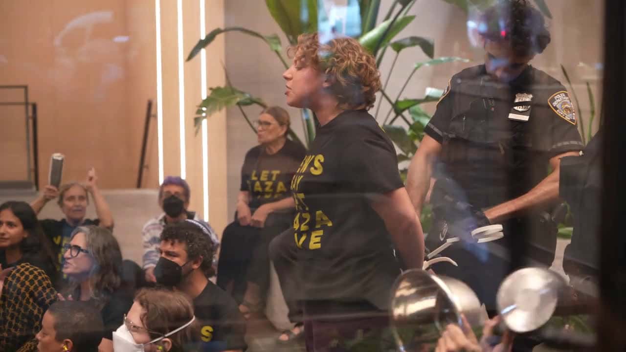 Cover for RAW VIDEO: Free Gaza Protest At Senator Chuck Schumer’s New York Office
