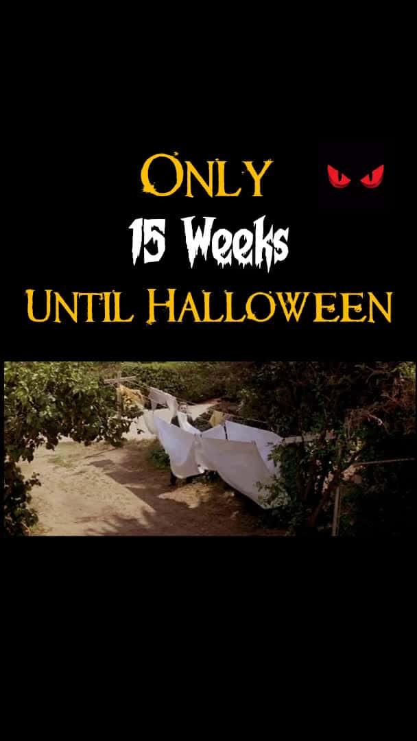 Cover for I know Summer’s not over - but the fun season is coming! Who loves Halloween?