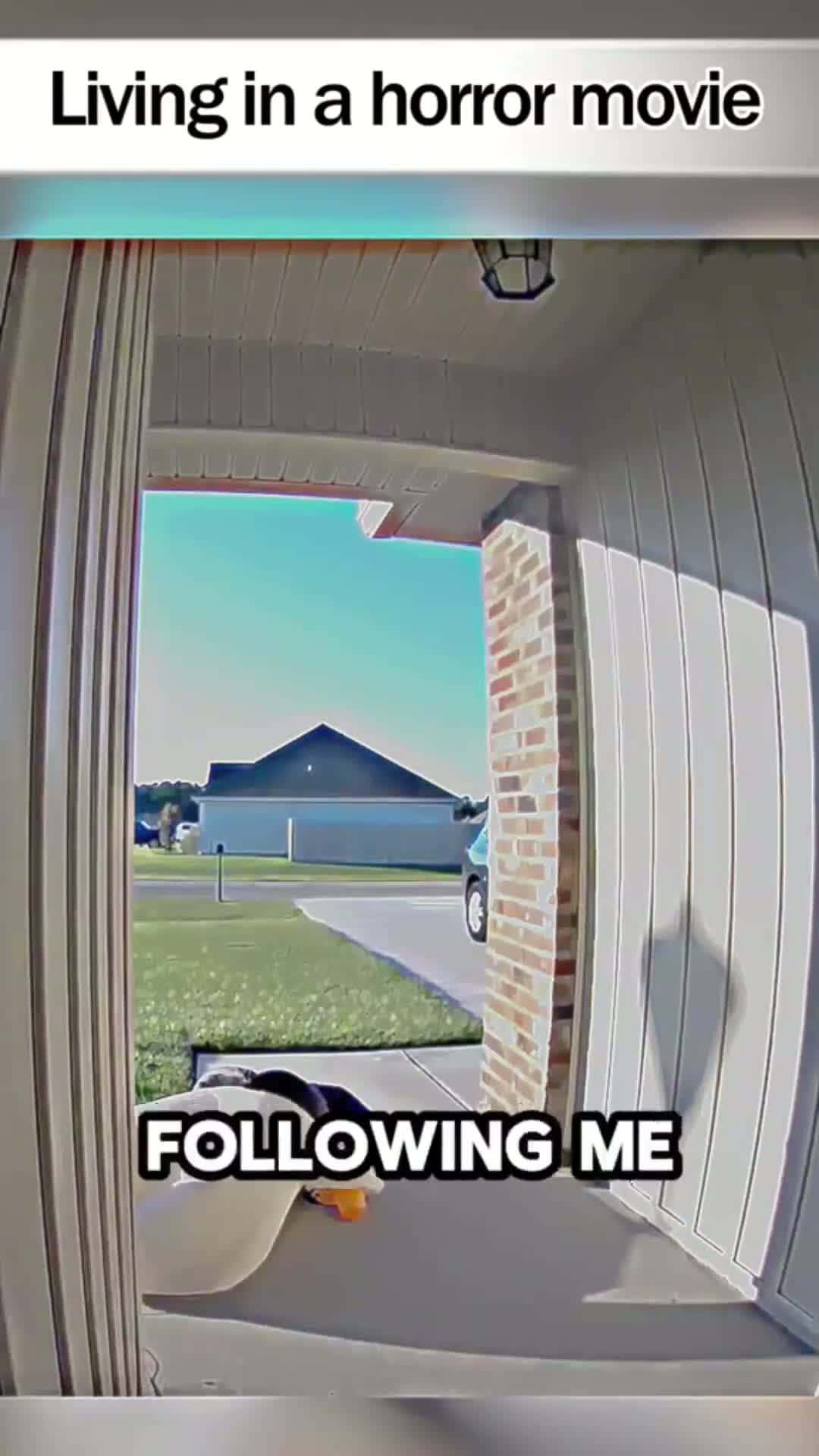 Cover for I wasn’t expecting that 😂😂  #viral  #dailydoseoffunny