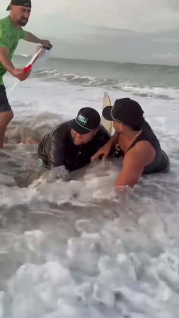 Cover for 😂That is not good😂 #shorts #fishing #huge #funny #lbsf #sharkfishing #landbasedsharkfishing_027 (2)