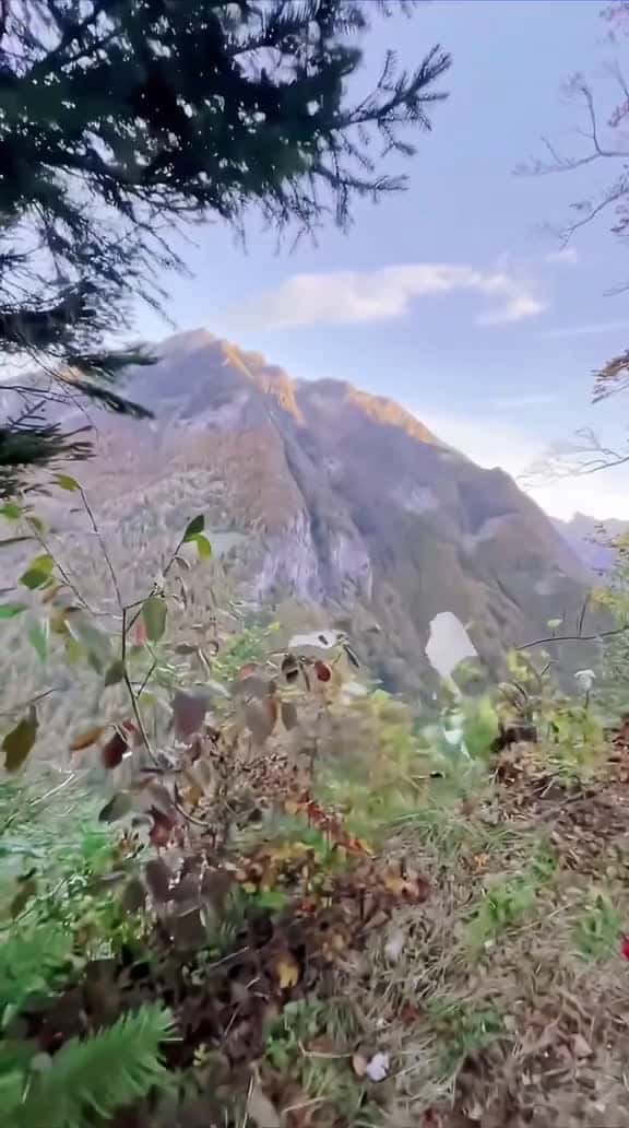 Cover for I wonder why they can be so precise and brave #wingsuit #wingsuiting #wingsuitflying #parachute #mountain #redbull #adventure #adventures #sport #sports #sport #dangers #travel #foryou #fyp #viral #trending #kings3a