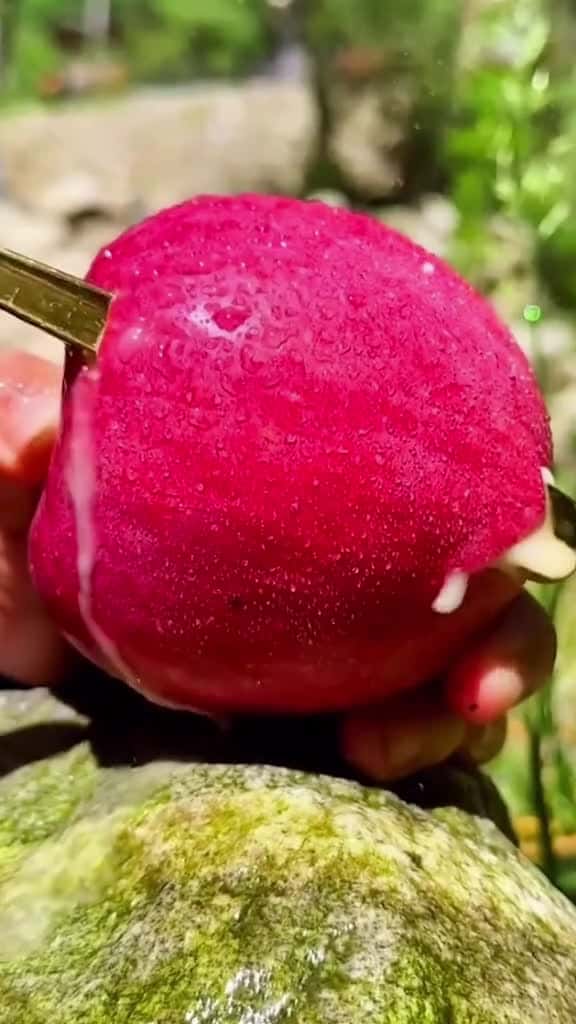 Cover for OMG !! Apple #Apple #asmr #fyp #fruit #fyp #usa
