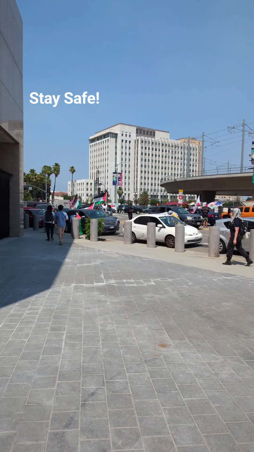 Cover for  Protest Downtown LA- 8/2/25Federal Detention Center#ice #protesr #dems #radicals