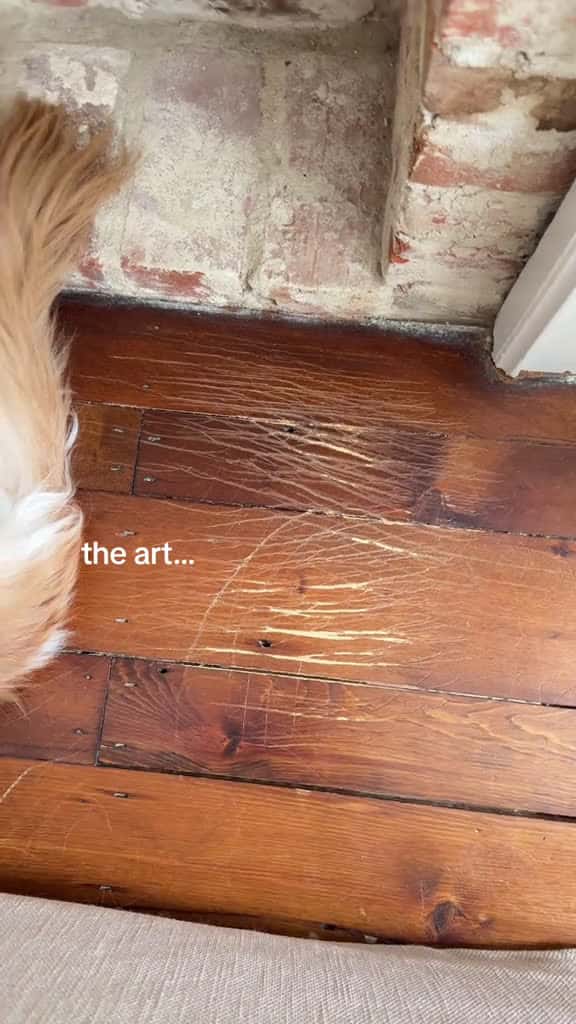 Cover for do we think he did it bennythegolden dogsoftiktok goldenretrieverlife funnygolden justgold 21726 #trending