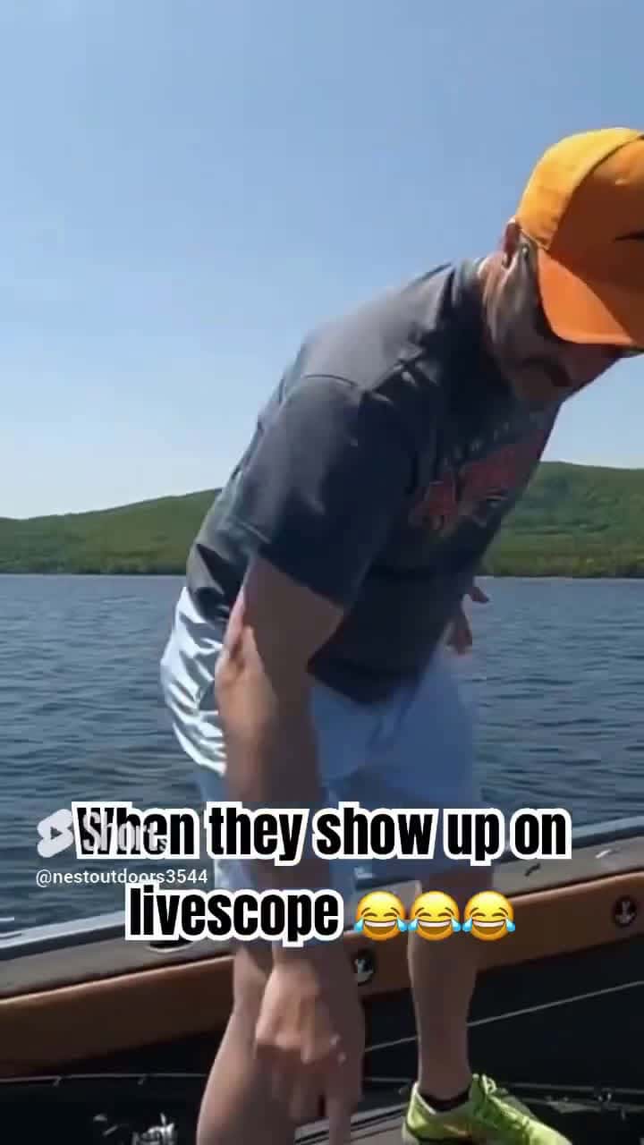 Cover for Your on your on livescope fishing bass fish lake Newfoundlake outdoors laketrout