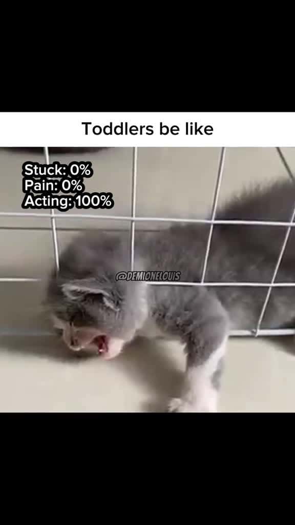 Cover for Kids be like #capcut #fyp #foryoupage #meme #viral #toddlersbelike #kidsbelike #cat