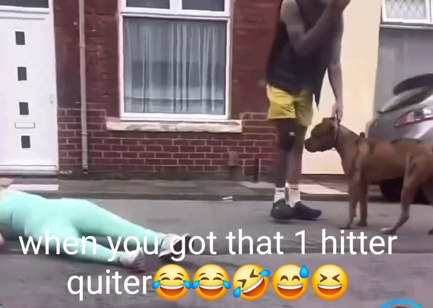 Cover for That is a knock out😆😆 #fight  #fightcam 