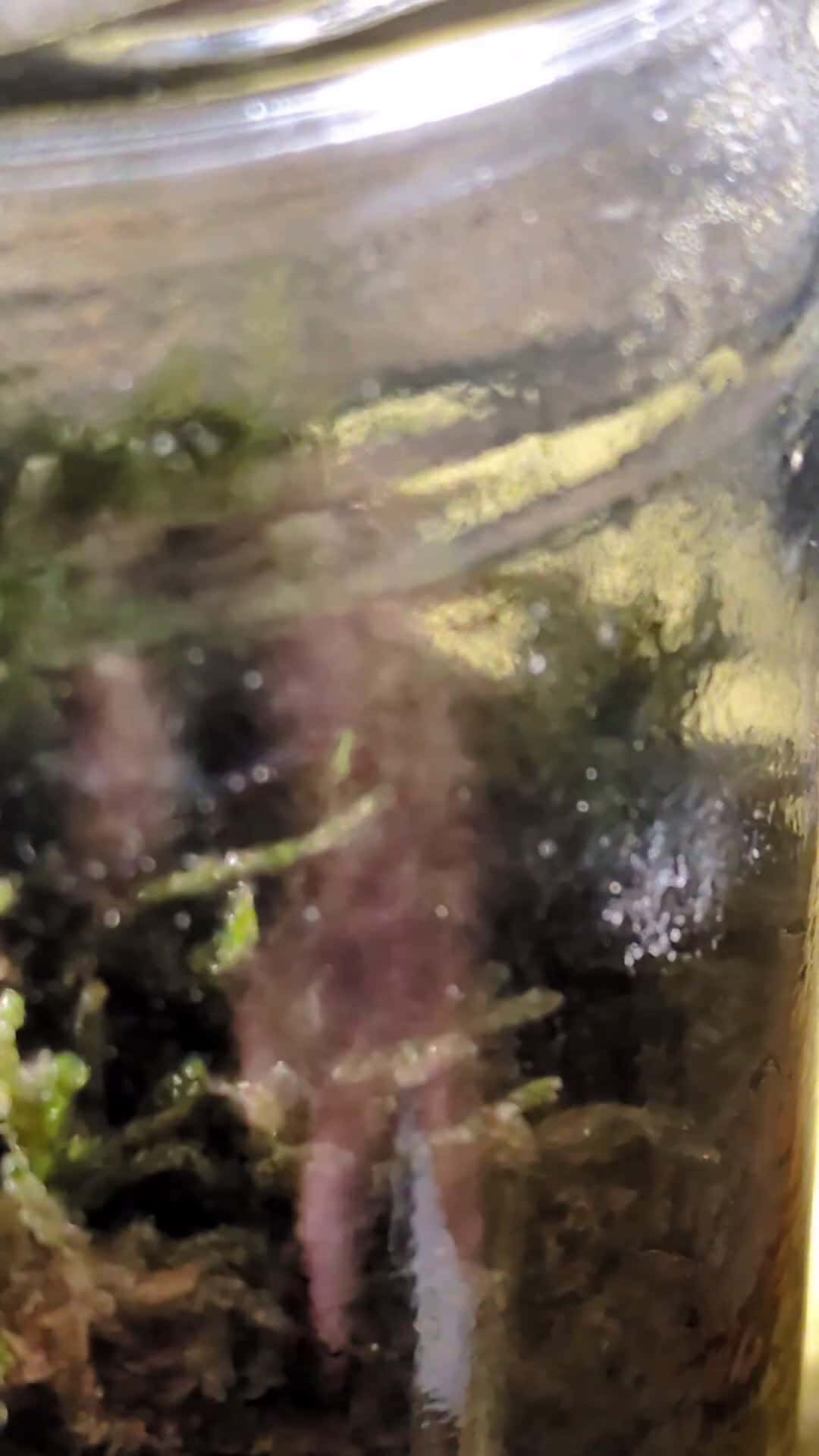 Cover for ?