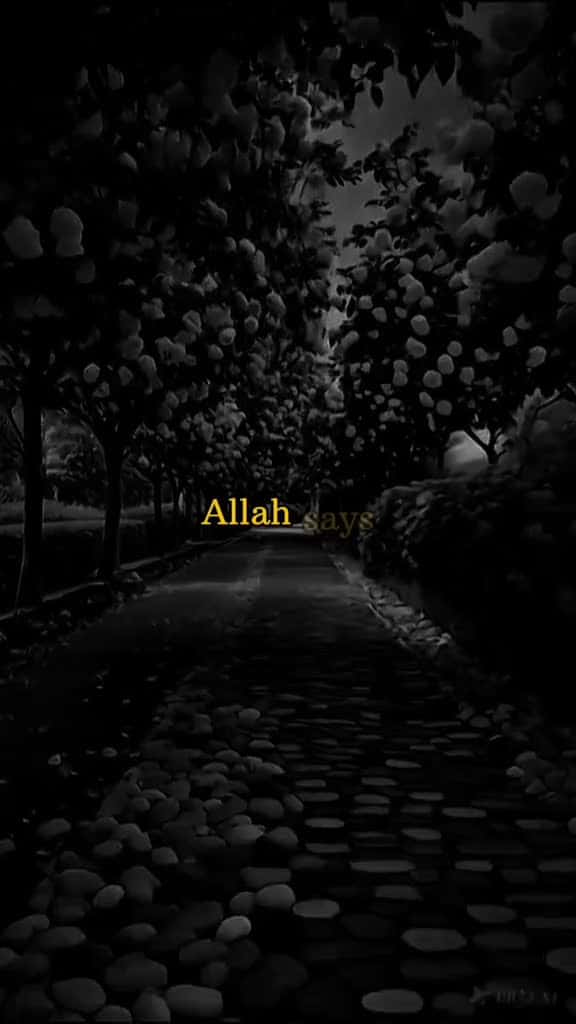 Cover for islamic video Allah 1million fyp viral 67466 #ilovescoopz