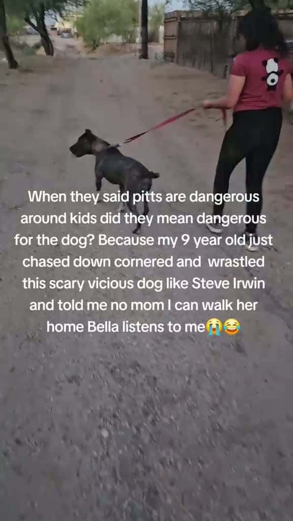 Cover for She does listen to her🤷‍♀️🤷‍♀️😂 her Big Bad feeling get hurt if shes called a bad dog. Im sure the anti pitbull lady who was trying to "help" my daughter get my dog from inside her car probably already dialing 911 really felt c...
